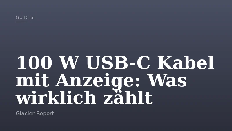 100 W USB-C Kabel mit Anzeige: Was wirklich zählt