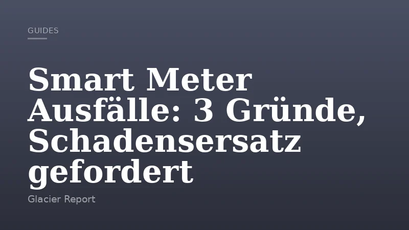 Smart Meter Ausfälle: 3 Gründe, Schadensersatz gefordert