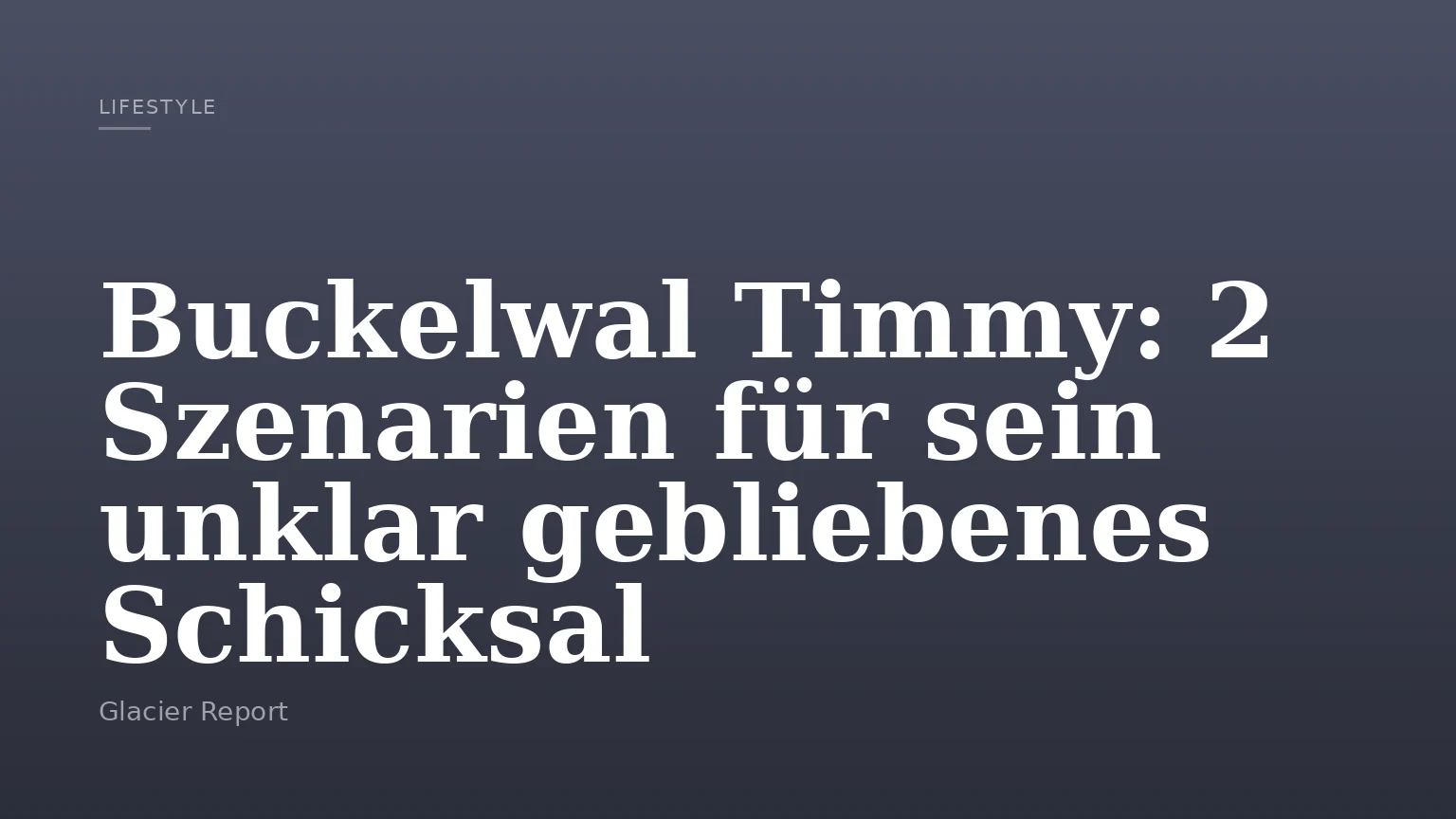 Buckelwal Timmy: 2 Szenarien für sein unklar gebliebenes Schicksal