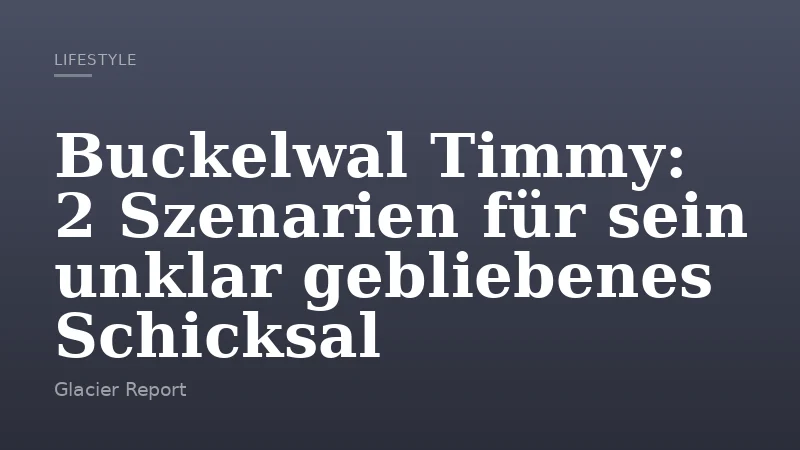 Buckelwal Timmy: 2 Szenarien für sein unklar gebliebenes Schicksal