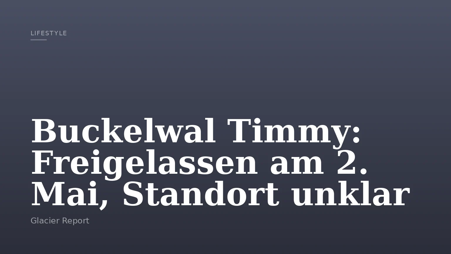Buckelwal Timmy: Freigelassen am 2. Mai, Standort unklar