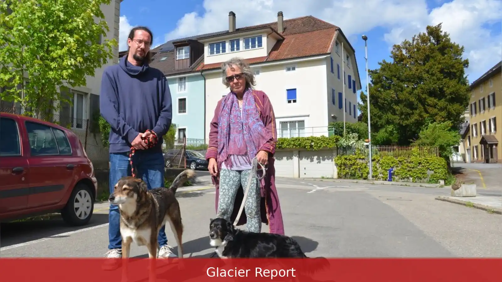 Hund kaufen oder adoptieren: 150-2 500 Euro Unterschied
