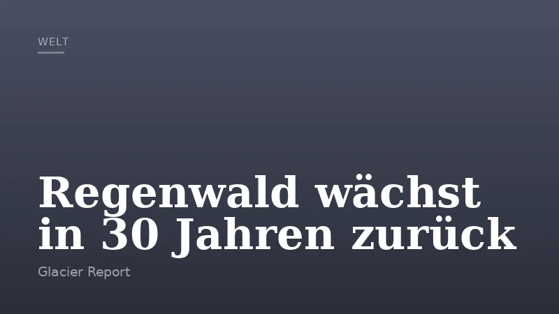Regenwald wächst in 30 Jahren zurück